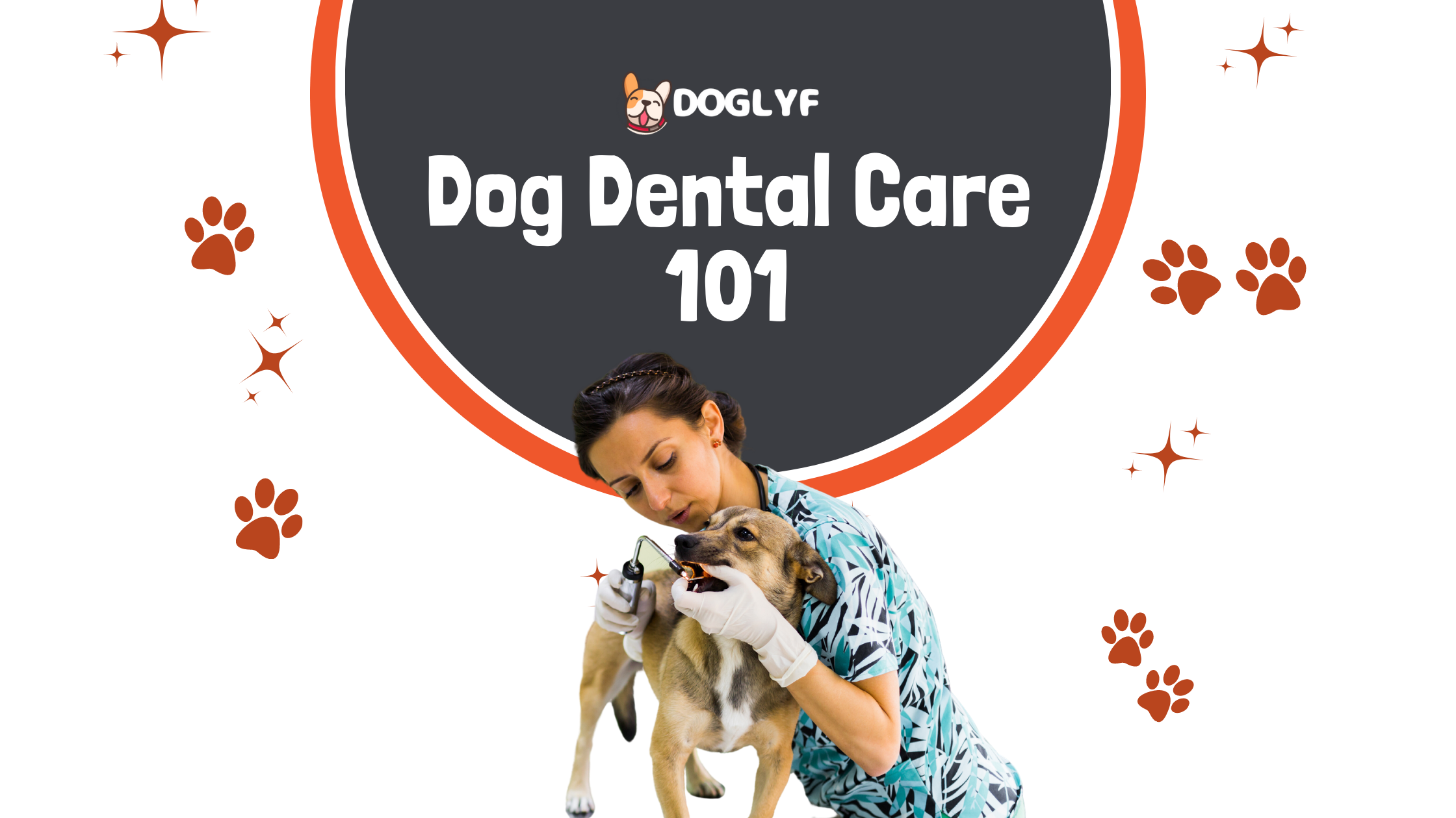 Dog Dental Care 101