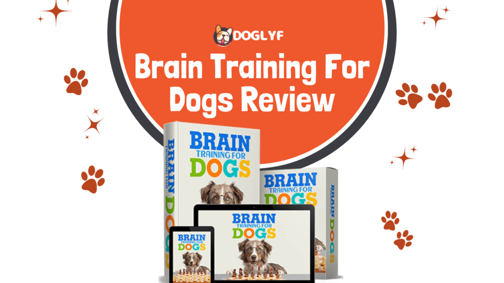 Brain Training For Dogs Review From an Expert – Is it Worth it Or not in 2023?