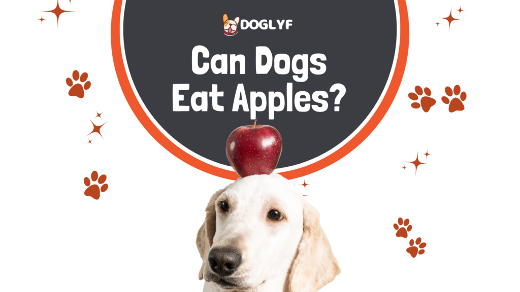 Can Dogs Eat Apples? Discover 4 Surprising Benefits & 1 Shocking Risk