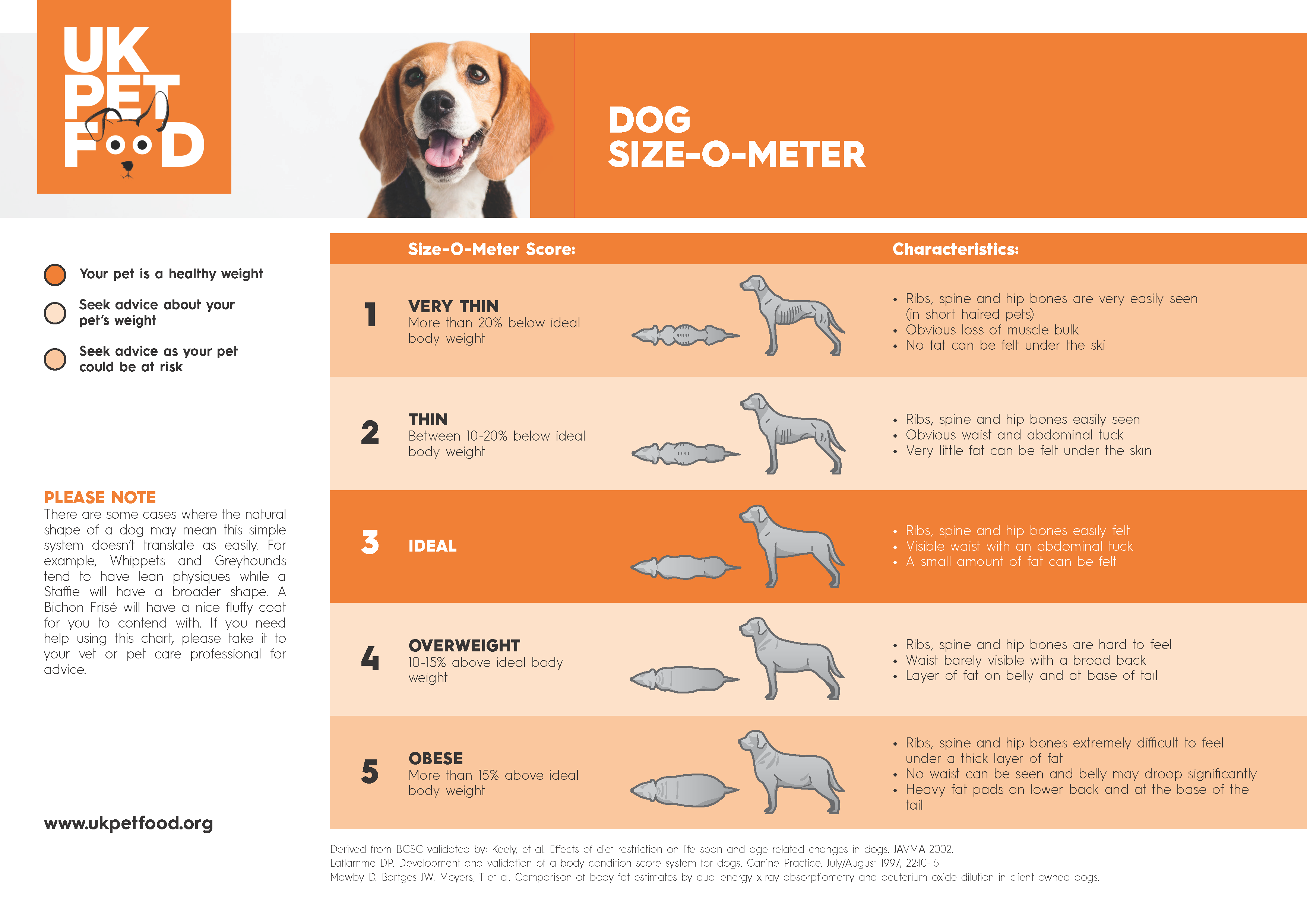 How Heavy Should My Dog Be? Canine Care Facts – Dogster