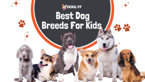 Best Dog Breeds For Kids